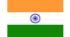 IN Flag